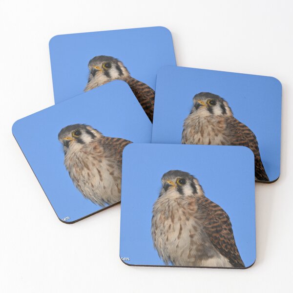 Item preview, American Kestrel  designed and sold by Glennphotos.