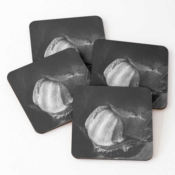 Item preview, Taste Tester designed and sold by Tiffany Bumgardner.