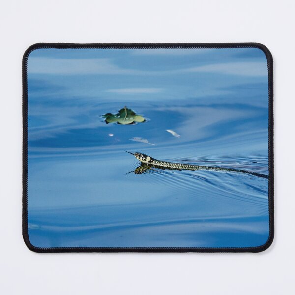 Item preview, Ringelnatter - Water Snake designed and sold by Eidetic Photos.