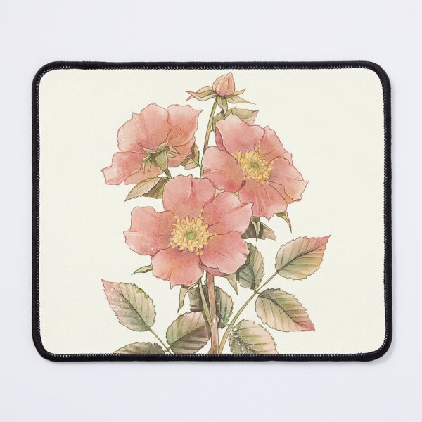 Item preview, Vintage Wild Rose Illustration designed and sold by DesignsBySloan.