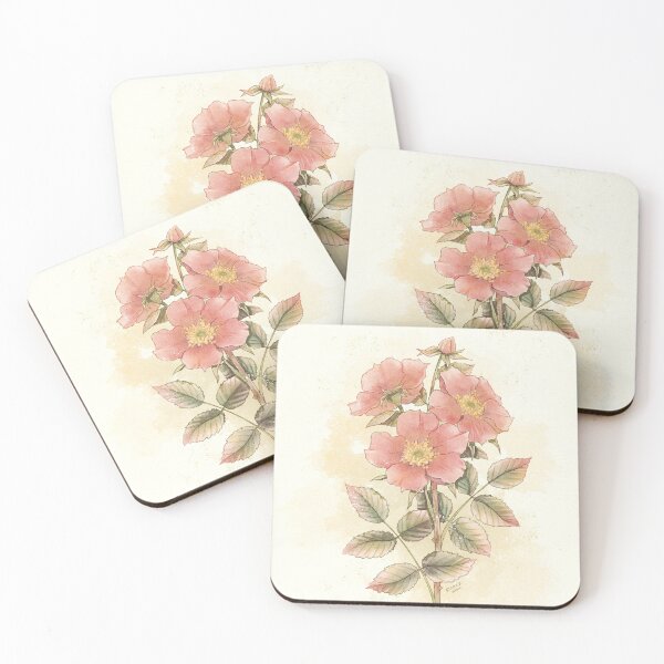 Item preview, Vintage Wild Rose Illustration designed and sold by DesignsBySloan.