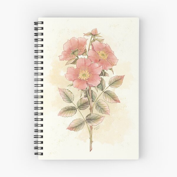 Artikelvorschau, Vintage-Wildrose-Illustration entworfen und verkauft von DesignsBySloan.