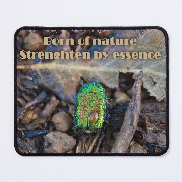 Item preview, Beetle designed and sold by WanderingGraha.