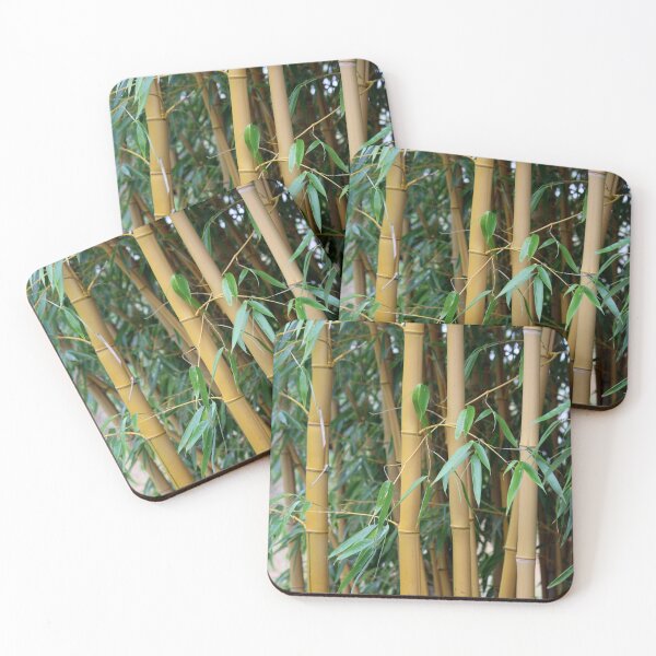 Item preview, Bamboo designed and sold by AnthonyThomas.