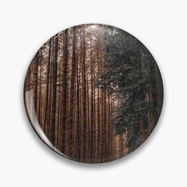 Item preview, Redwood forest, Warburton, Victoria. designed and sold by PVphotography.