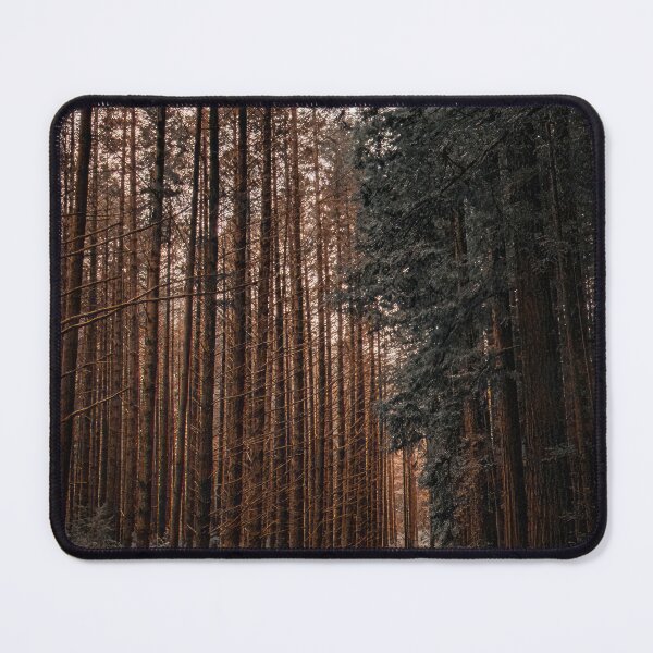 Item preview, Redwood forest, Warburton, Victoria. designed and sold by PVphotography.