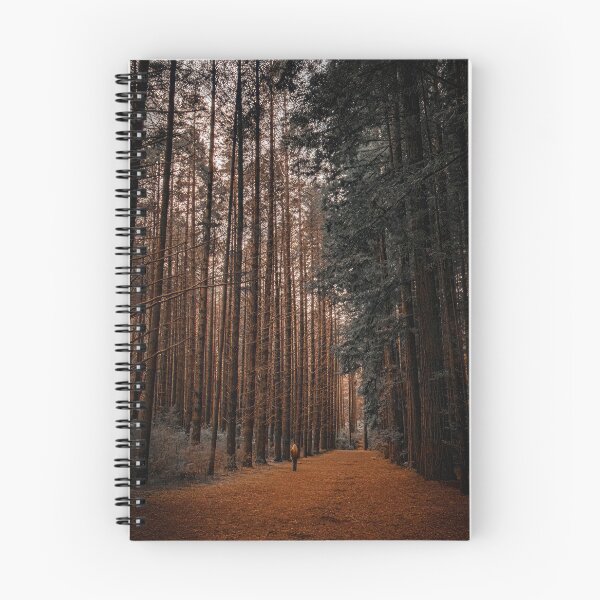 Item preview, Redwood forest, Warburton, Victoria. designed and sold by PVphotography.