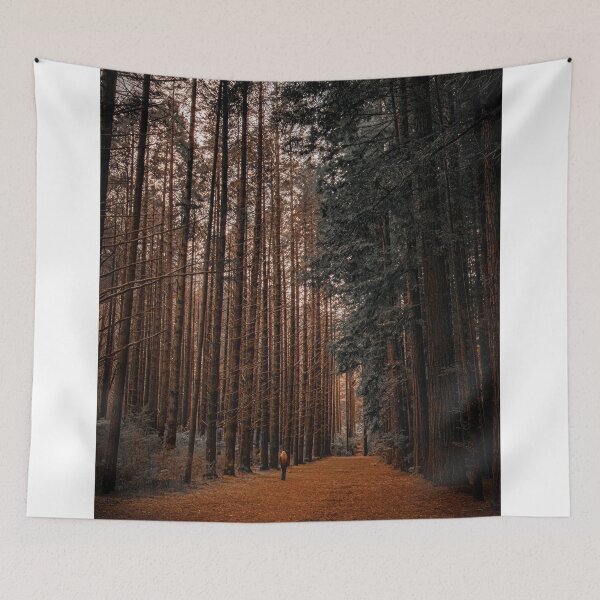 Item preview, Redwood forest, Warburton, Victoria. designed and sold by PVphotography.