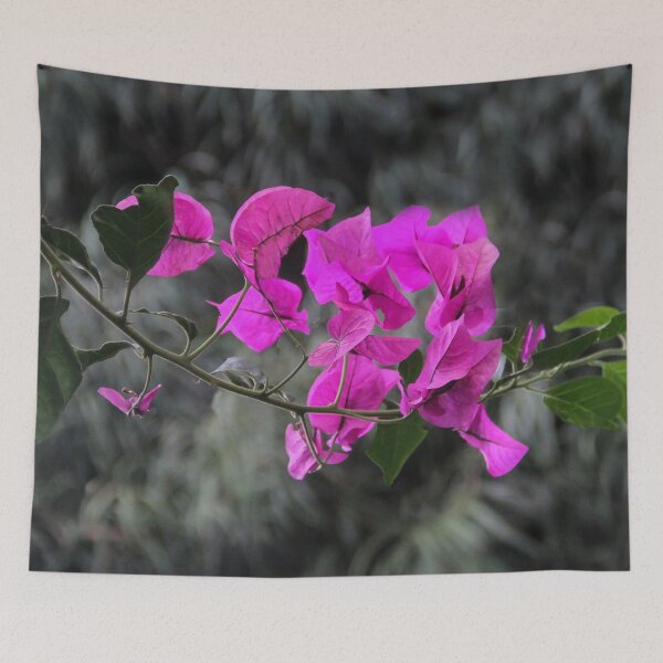 Item preview, Buganvillas designed and sold by heatherfriedman.