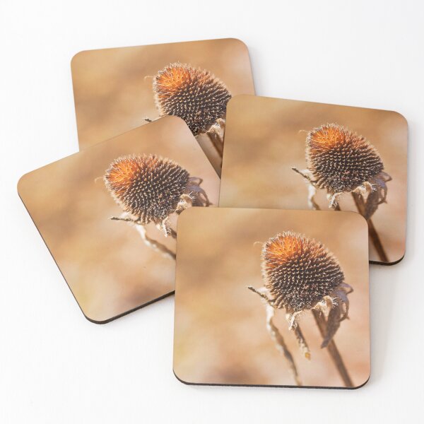 Item preview, Dried Rudbeckia designed and sold by Production Art Manon Meilleur.