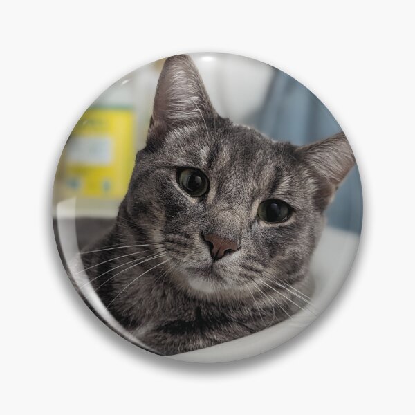 Item preview, Cat in the sink designed and sold by trujillo809.