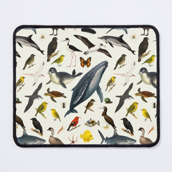 Item preview, Animals of Hawaii Retro Illustration Wildlife Chart designed and sold by kakarikihill.
