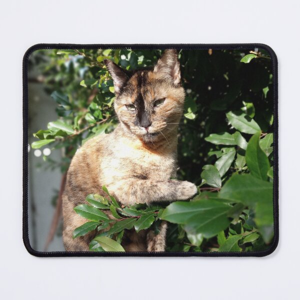 Item preview, Gigi of TeamBob designed and sold by TeamBobShop.