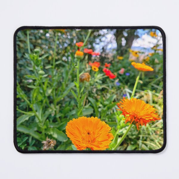 Item preview, Peaceful Setting designed and sold by Betsy Phillips.