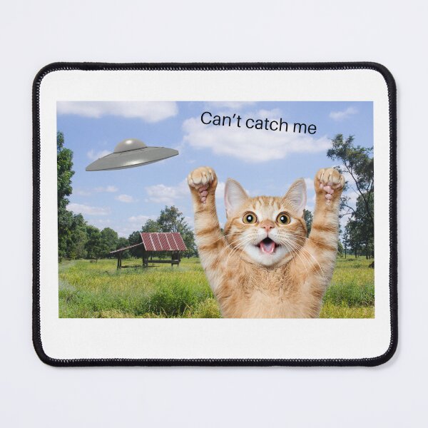 Item preview, can't catch me designed and sold by Kennedy Fun Tee's.
