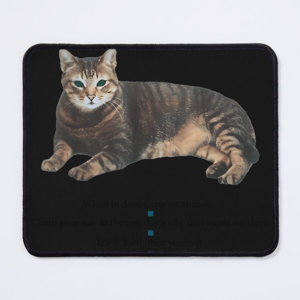 Item preview, All-I-Need-To-Know-About-Life-I-Learned-From-My-Cat designed and sold by trimanhley.