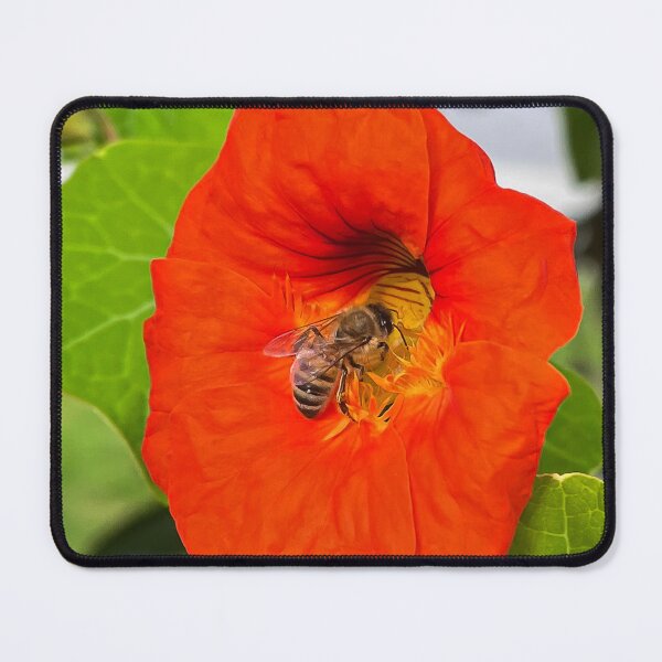 Item preview, Honey Bee on Orange Nasturtium Flower designed and sold by Be Captured by Brittany Emma.