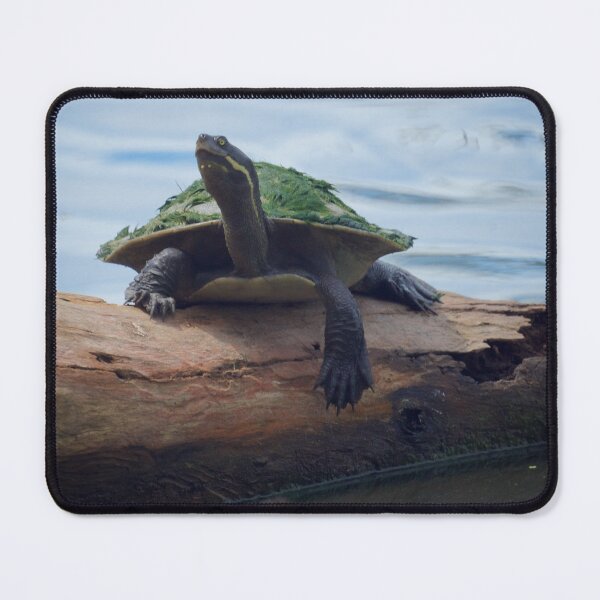 Item preview, Murray River turtle on a Log designed and sold by D-GaP.