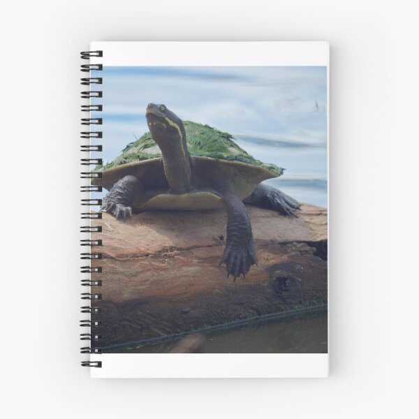 Item preview, Murray River turtle on a Log designed and sold by D-GaP.