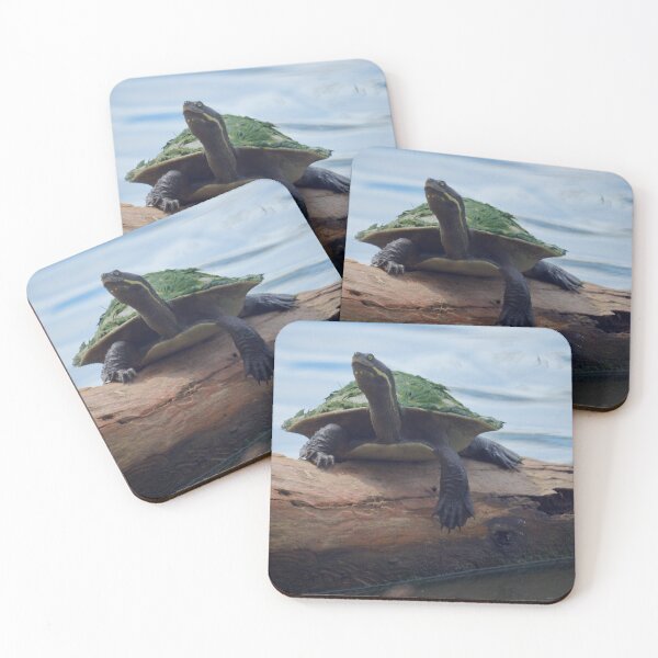 Item preview, Murray River turtle on a Log designed and sold by D-GaP.