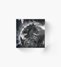 the monument Acrylic Block