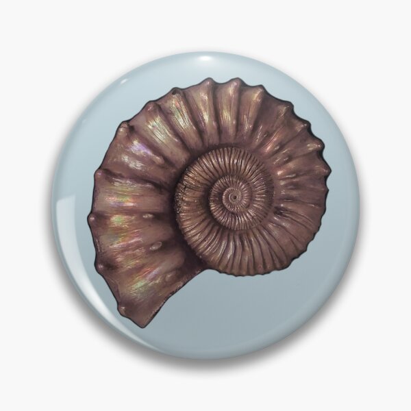 Item preview, Spiral Shell designed and sold by Kallasilya.