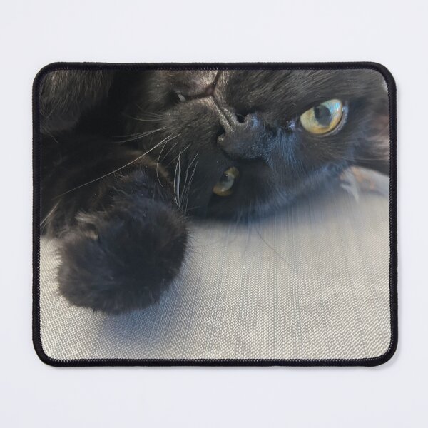 Item preview, Crazy Cat designed and sold by CosmoTheCat2017.