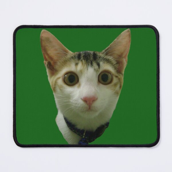 Item preview, Shocked Calico designed and sold by Linklandiya.