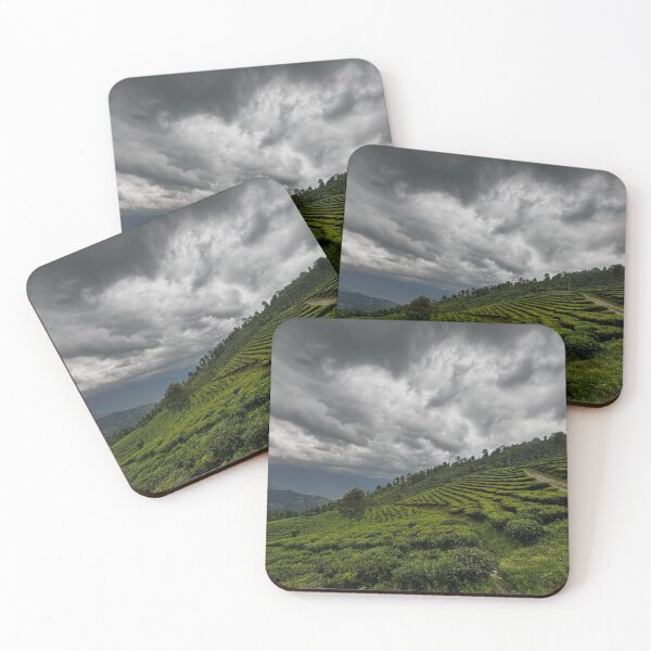 Item preview, Tea The Hold Steady Band Steam Rises designed and sold by Seung- woo.
