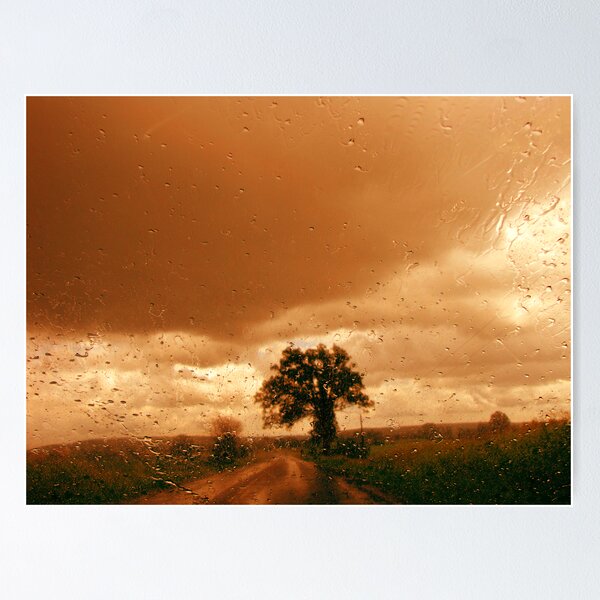 Item preview, Driving in the Rain designed and sold by nikspix.