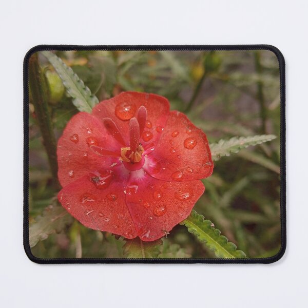 Item preview, Dew-Kissed Crimson Bloom designed and sold by DI RTNA Shop .