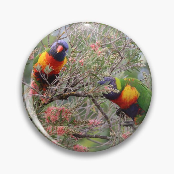 Item preview, Lorikeets designed and sold by Allport Photography.