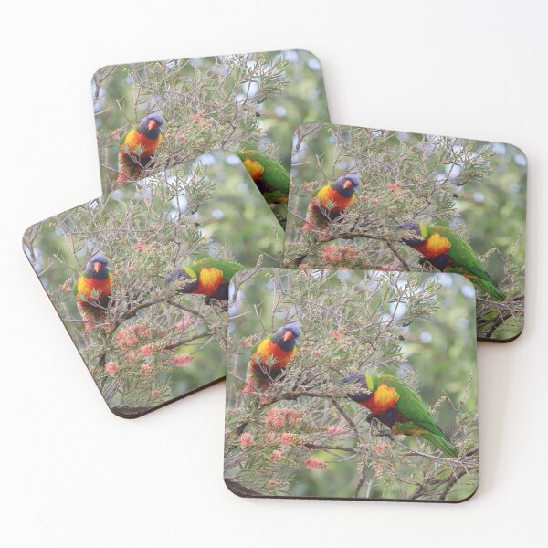 Item preview, Lorikeets designed and sold by Allport Photography.