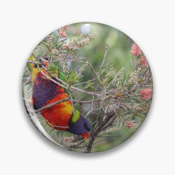 Item preview, Lorikeet designed and sold by Allport Photography.