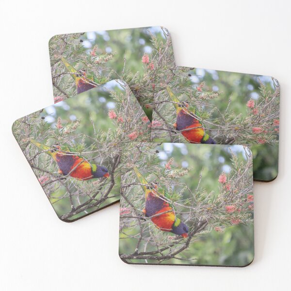 Item preview, Lorikeet designed and sold by Allport Photography.
