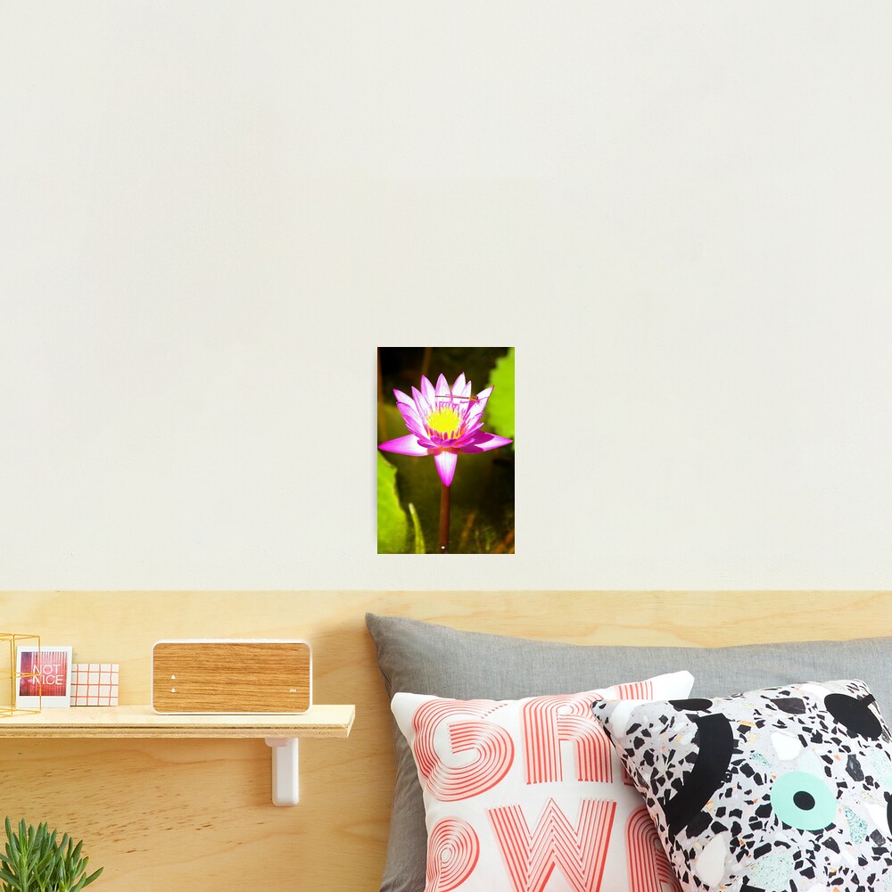 Item preview, Photographic Print designed and sold by StillFrameTime.