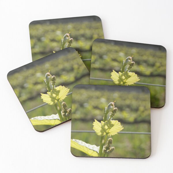 Item preview, Spring has Sprung in the Vineyard at Magpie Springs by Avril Thomas designed and sold by MagpieSprings.