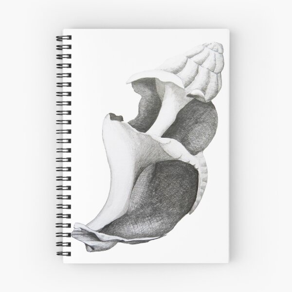 Item preview, Broken but Still Beautiful black and white shell II designed and sold by LisaLeQuelenec.