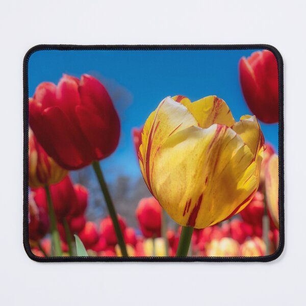 Item preview, Floriade designed and sold by yolanda.