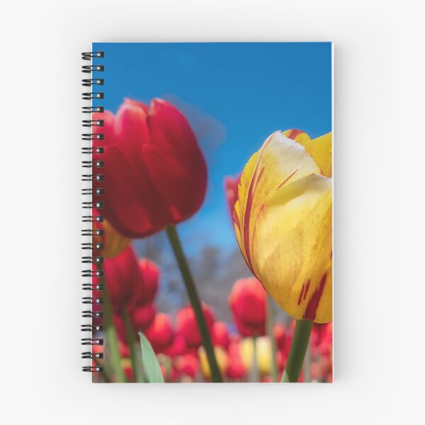 Item preview, Floriade designed and sold by yolanda.