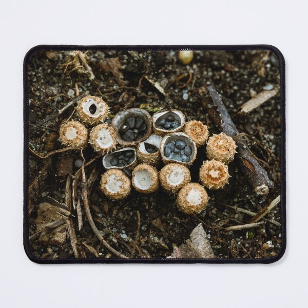 Item preview, Bird’s Nest Fungus Macro – Woodland Mushrooms designed and sold by alicjamiekina.