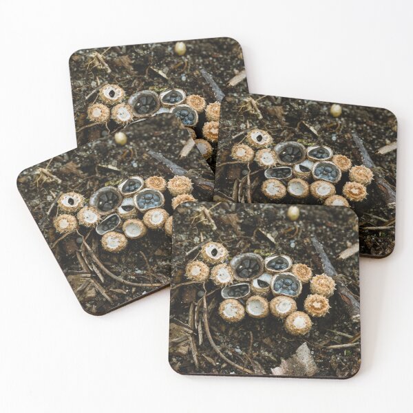 Item preview, Bird’s Nest Fungus Macro – Woodland Mushrooms designed and sold by alicjamiekina.