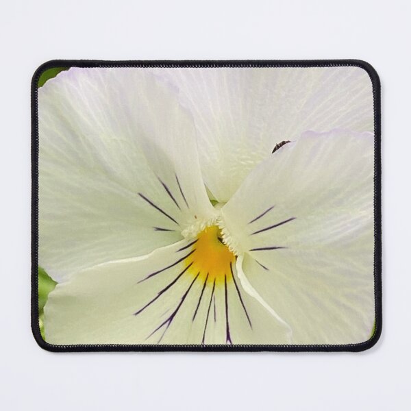 Item preview, A beautiful floral picture of a lovely flower. designed and sold by BudgeBenPics.