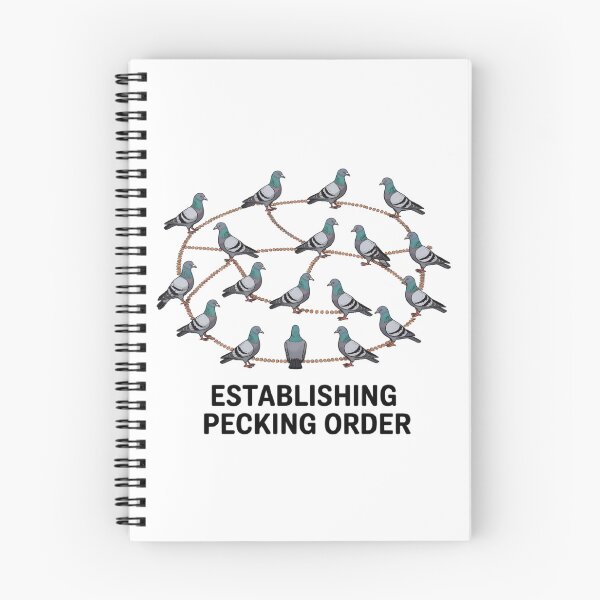 Item preview, Pigeon Protocol Satirical Networking Diagram designed and sold by GenNextPrint.