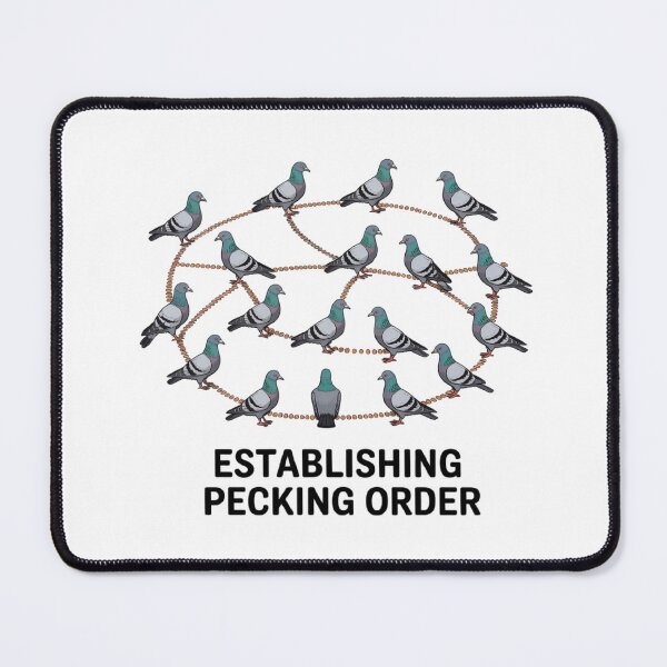 Item preview, Pigeon Protocol Satirical Networking Diagram designed and sold by GenNextPrint.