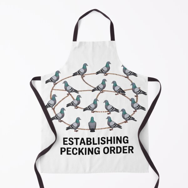 Item preview, Pigeon Protocol Satirical Networking Diagram designed and sold by GenNextPrint.