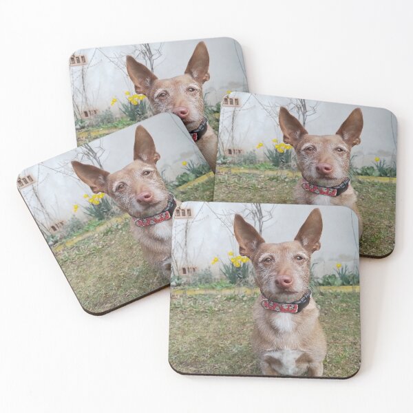 Item preview, Pedro the Podenco designed and sold by whippetmuse.