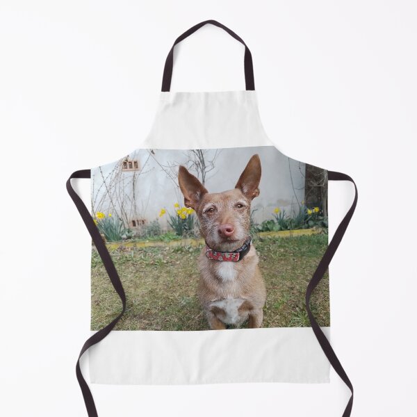 Item preview, Pedro the Podenco designed and sold by whippetmuse.