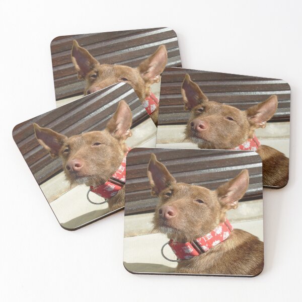 Item preview, Pedro the rescue Podenco designed and sold by whippetmuse.