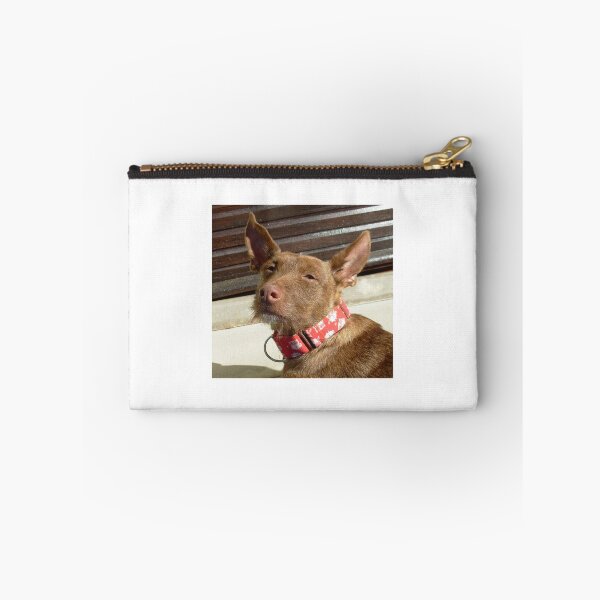 Item preview, Pedro the rescue Podenco designed and sold by whippetmuse.